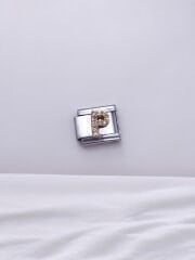Zirkon Taşlı Harf Charm P