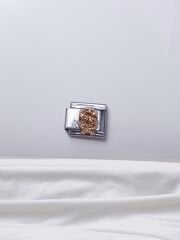 Zirkon Taşlı Harf Charm Ş